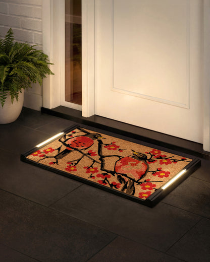 Solo BriteStep Doormat™ - Floral Robin Bird