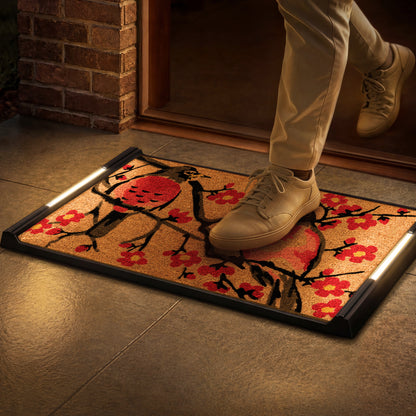 Solo BriteStep Doormat™ - Floral Robin Bird