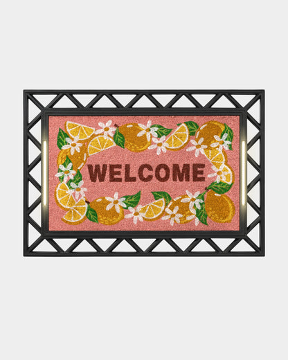 Contemporary BriteStep Doormat™ - Colorful Welcome Garden