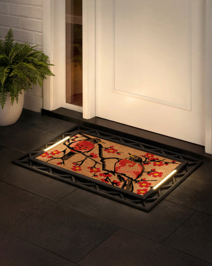 Contemporary BriteStep Doormat™ - Floral Robin Bird