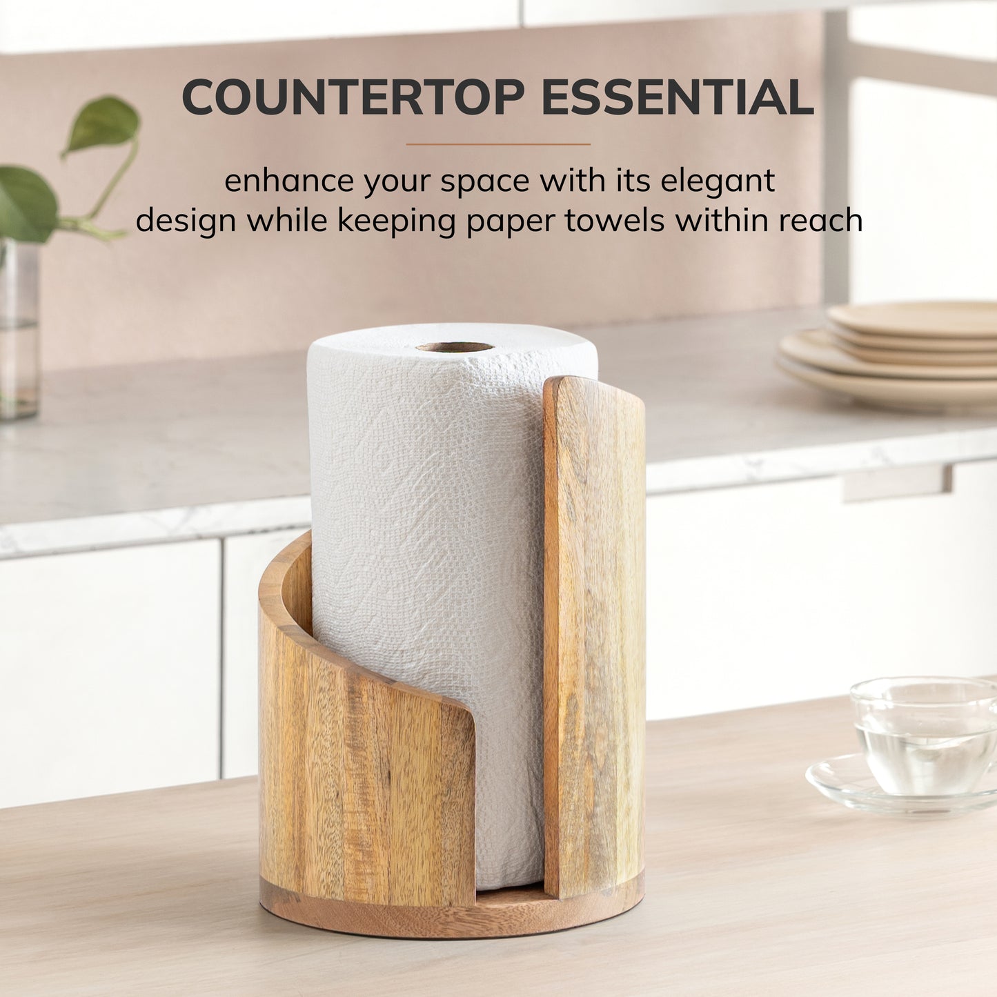 Mango Wood Gisele Paper Towel Holder - Natural