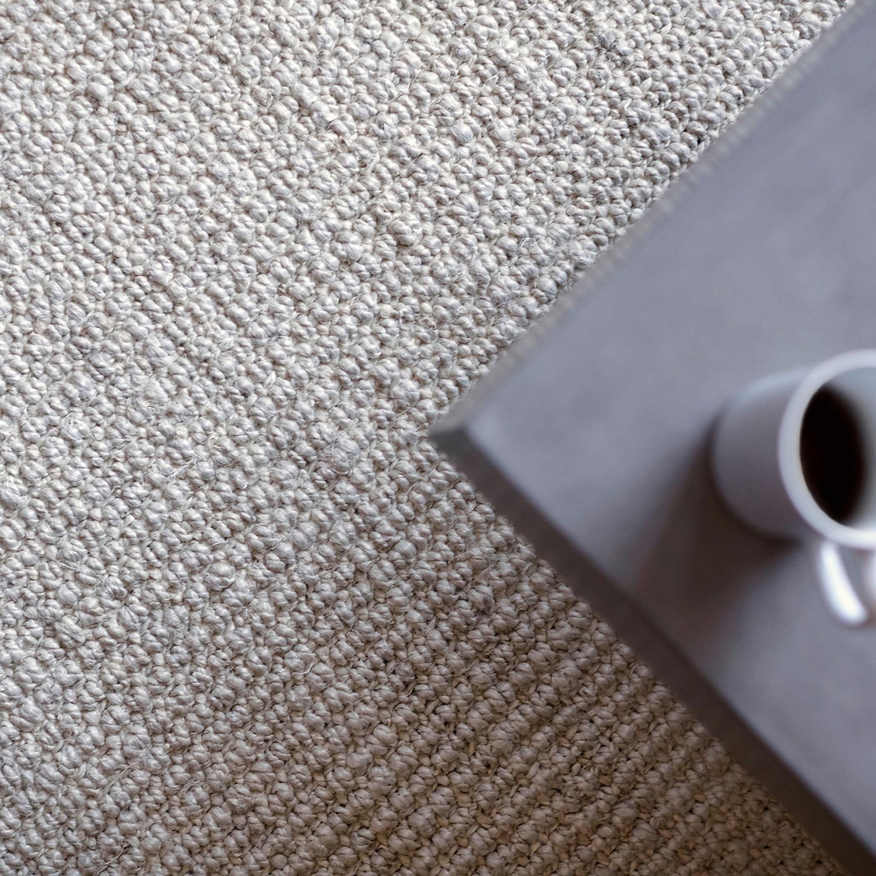 Andes Ivory Jute Area Rug Anji Mountain